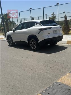جیتۆر داشينگ
